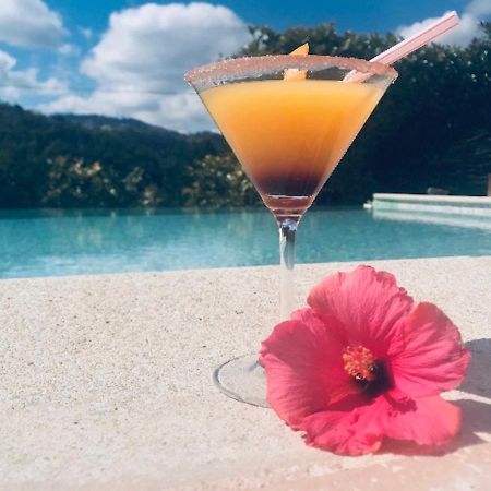Villa Santa Rita Auribeau-sur-Siagne 외부 사진